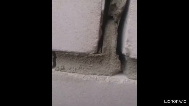 Качество квартир в новостройке...