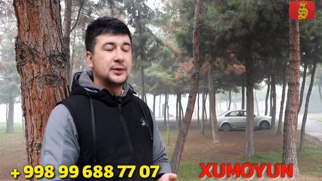 ТРАВЕРТИН БИЗНЕСИ. Уй шароитида ТРАВЕРТИН ишлаб чиқариш