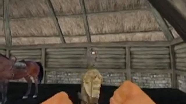 Oblivion Running On A Acer Aspire One Netbook And My Home Pc.