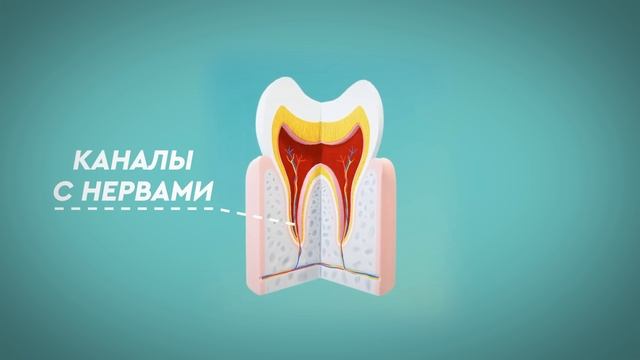 92e0d126c5f0c66c6db6b6debff3208f