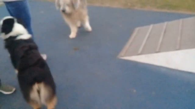 2fd5b5ee2c1cdad0c6da5eea049622e2