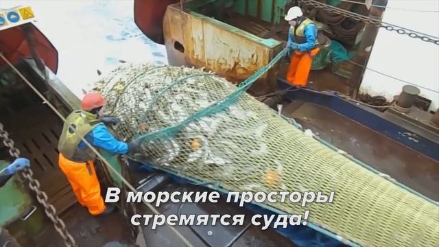 Ролик 4. Граждане вступайте в резерв (стихи режисера Дадыко)