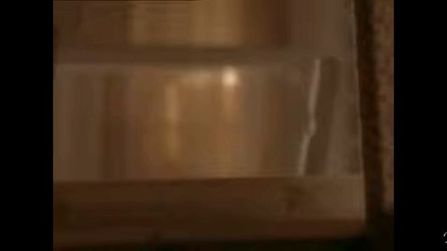 11c684541a920f859292ee8cf359afa6