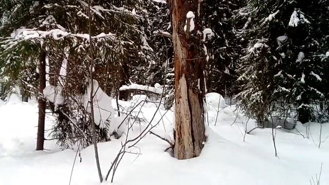 D494bd947203845d7466f3d0e03ff871