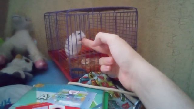 Тесла реагирует на средний палец или фак