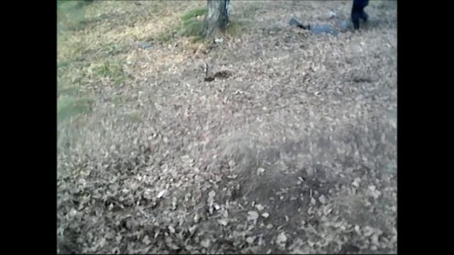 Крутка сальто !!!