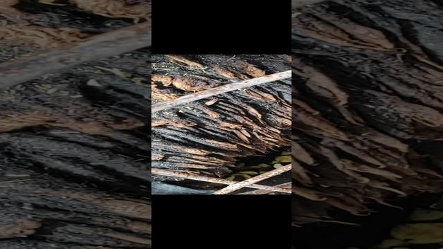 5986489a457060d7a588d7348efe85b8