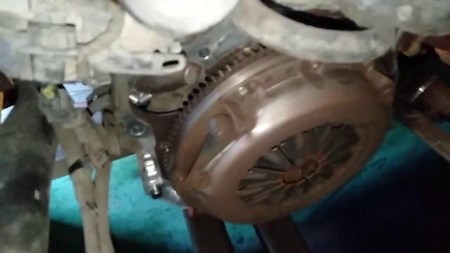 Жизнь в Идеальном Райском Уголке и Дизайнерской Атмосфере