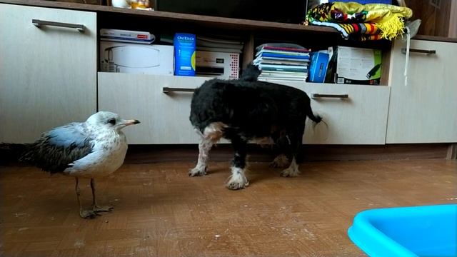 Bdf6ce71618172b432a12d28eae07aaf