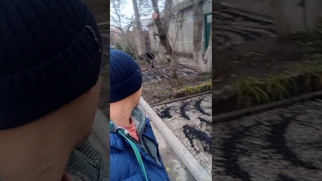 взамен своего бетона, 