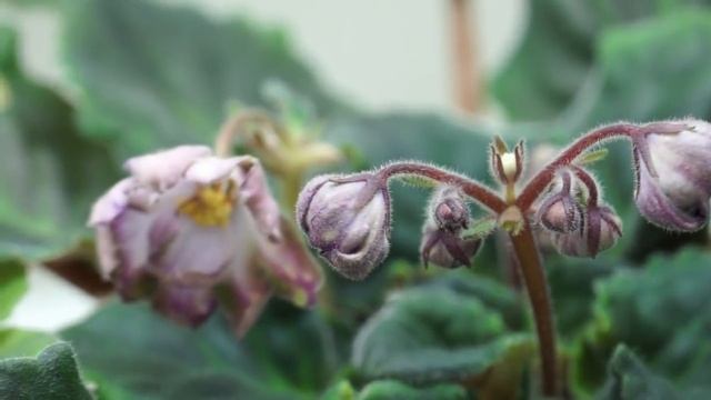 8433d22f0f43ffba4e224addb707a2a8