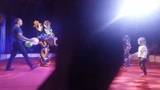 Алекс, Бамблби и цирк