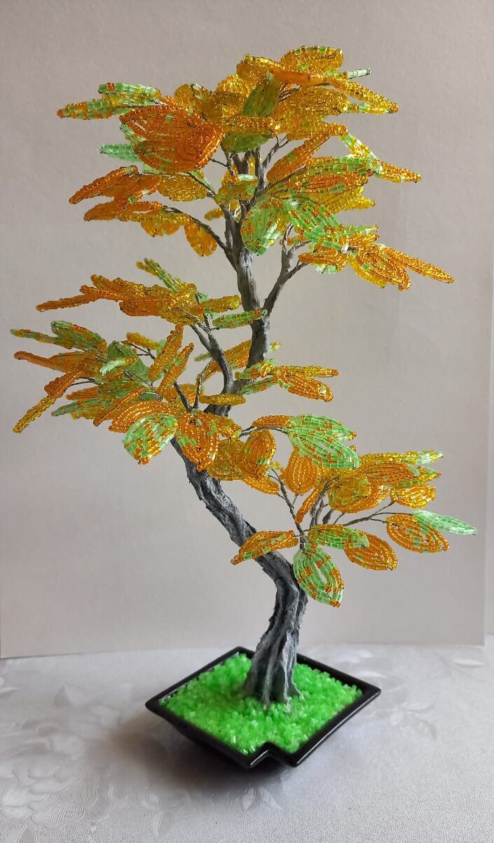 B6b2cd8f11ba2c4ef3aa1f4bd5881729