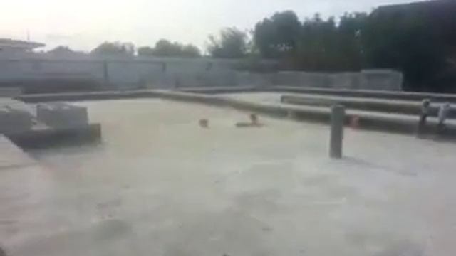 Начинается кладка блоков