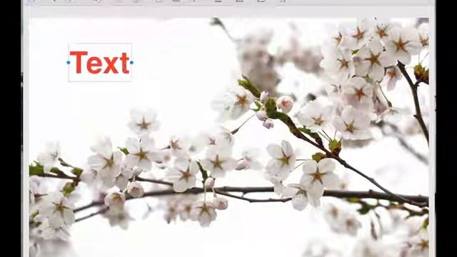 How To Add Emoji And Special Characters To Picture On Mac