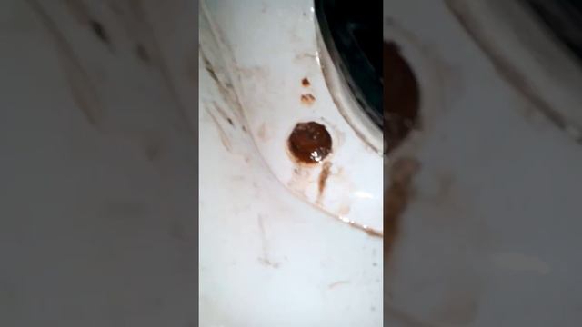 Флорариум: рай земных растений и животных