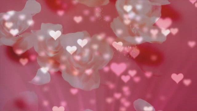 5de8996495b6c0fc05aba9b8a0f90692