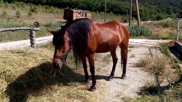 Dfc2fcf1f4947e8856649bef5c15f23d