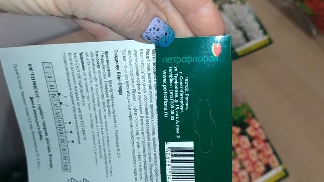 #Гладиолусы из Fix Price#Хранение#