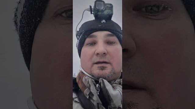 Охота на глухаря