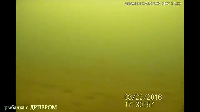 Подводная камера для рыбалки ЗИМНЯЯ РЫБАЛКА