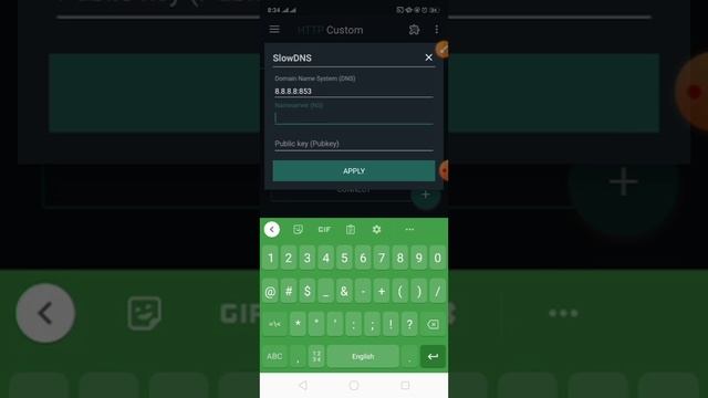 A Beginner's Guide To Setting Up HTTP Custom DNS Settings