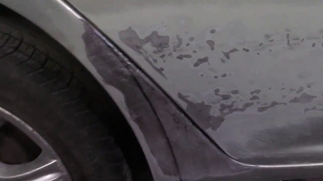 саша гемберг