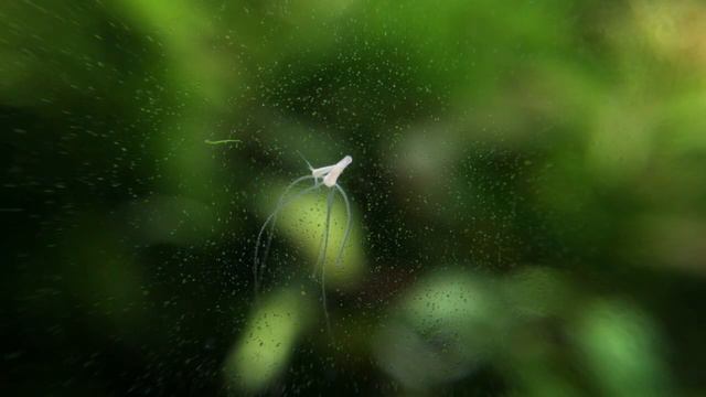 F2962834995238dbb555e824fa350a4e