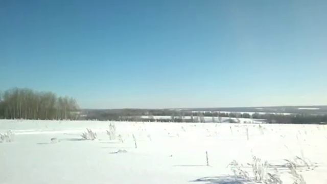 Трофи-прицеп для квадроцикла и снегохода.