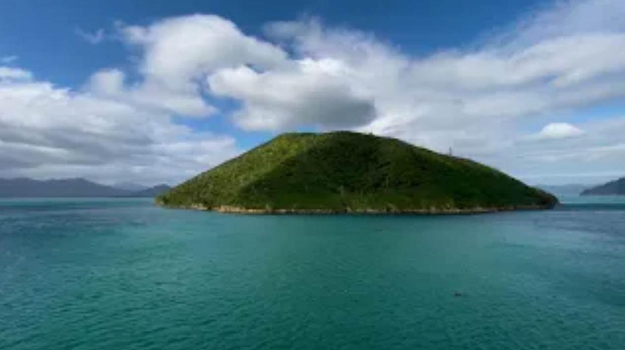 Часть 6. Веллингтон, паромная переправа через пролив Кука, Пиктон/ Wellington To Picton Ferry (Inter
