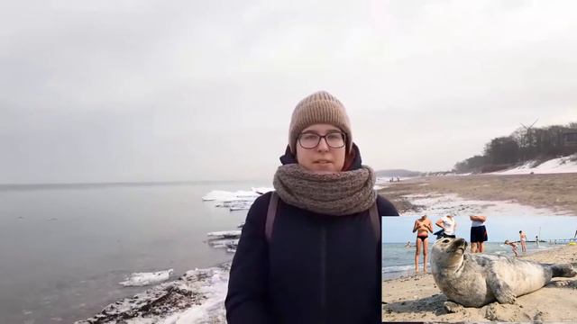 Экологический проект 