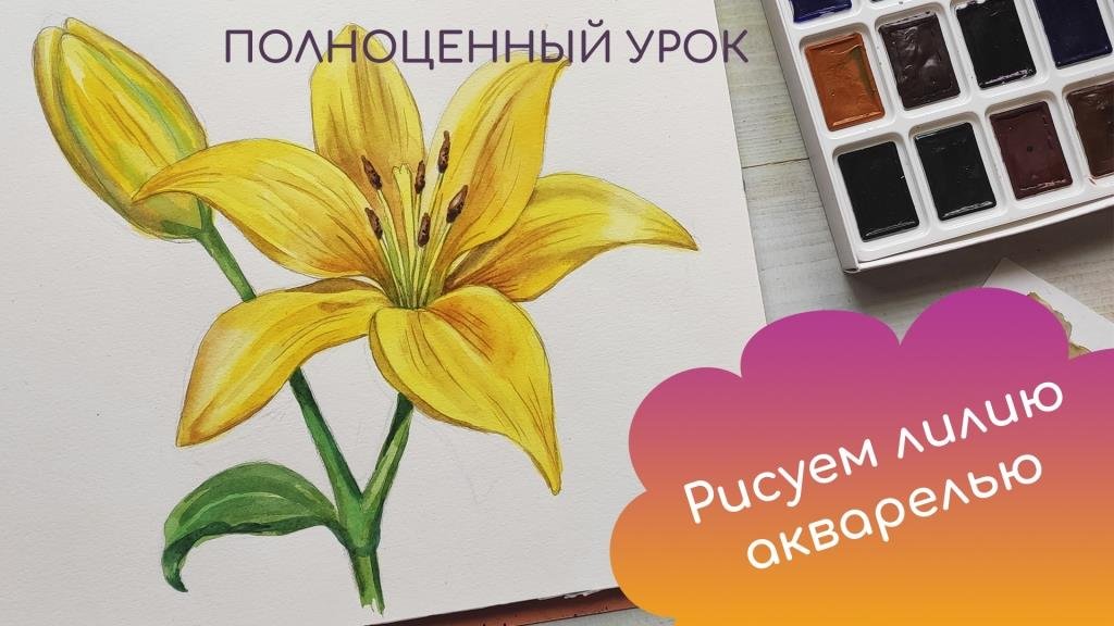 Cab8f7a34ee6ff17c4eabbef0587af4a