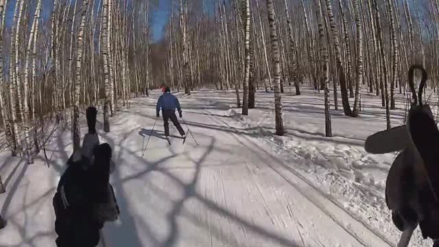 Лыжная трасса СК 