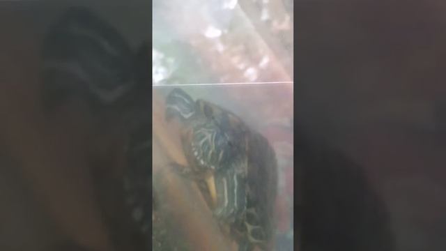 14 февраля 2022 г.