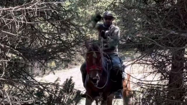 233a30035427d62dea71ab4f51a741b0