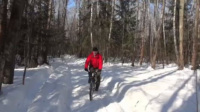 Зимние велопрогулки