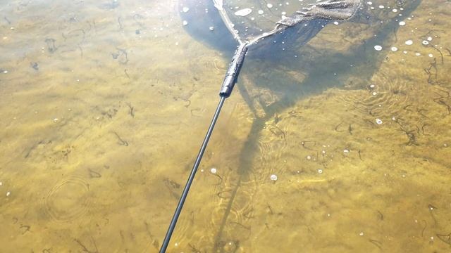 Подсак CENTURY Hand Made FMJ 42' и Escalibur 54'