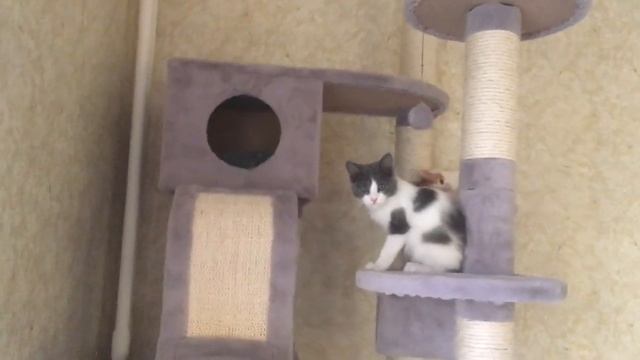 805b5e3755e37075eee70b52666db0c5