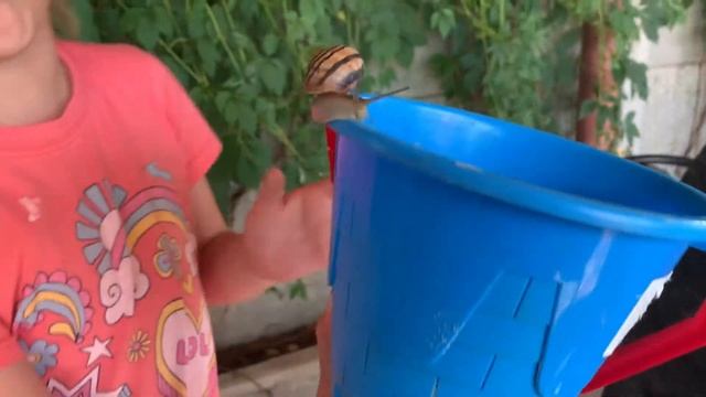 Новый ПИТОМЕЦ - УЛИТКА лезет ЦЕЛОВАТЬСЯ! Нашли улитку, которая не боится людей! Питомцы FG KirTV.