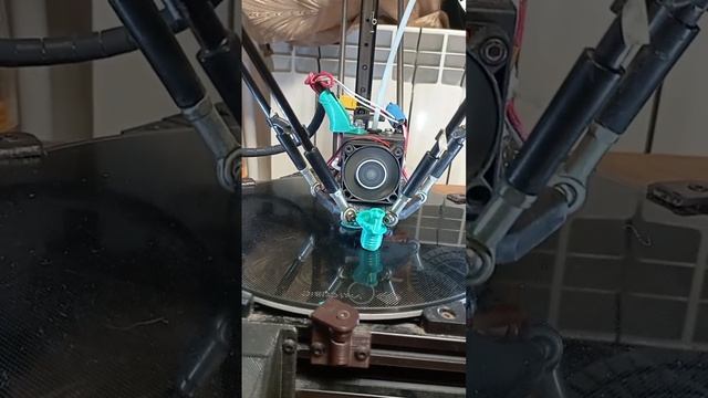 Video_2023-02-13_18-24-25