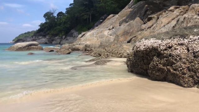 A1ad23a58859b041918429b5acd650c8