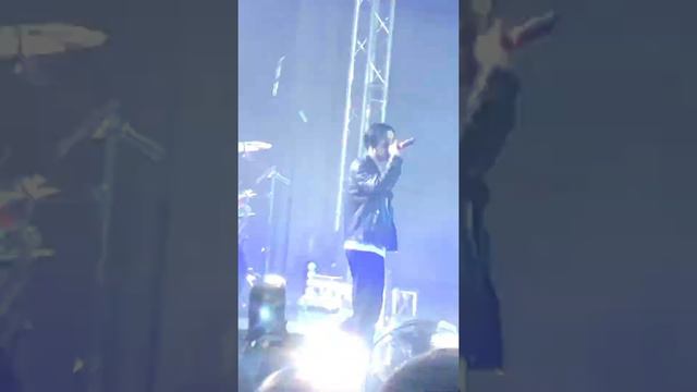 Пошлая Молли Киев