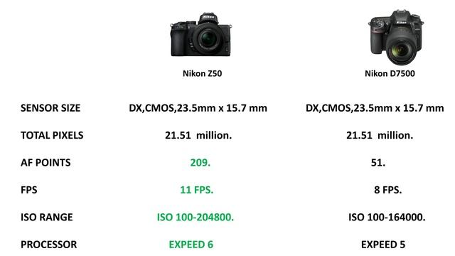 Nikon Z50 Review With Nikon 200-500 Mm Lens | Nikon Z50 Vs Nikon D7500 | Nikon Z50 Autofocus Test |