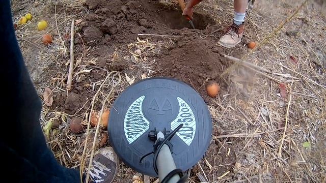DETECTOR MD5008 PRIMERA MARCA QUE NOS DIO
