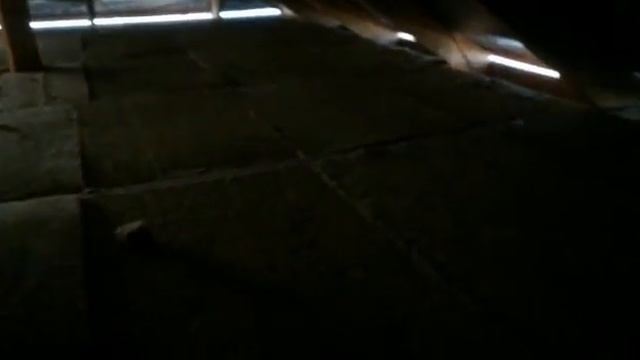 42a95b96672b7d245947141c933d83e5