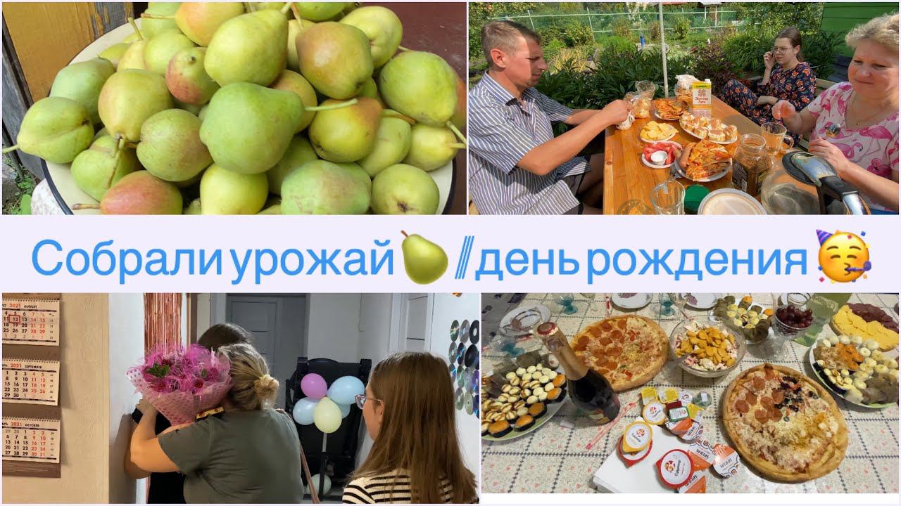 ВлогСобрали урожай груш яблок и многое другоеДень рождения нашей старшей дочки