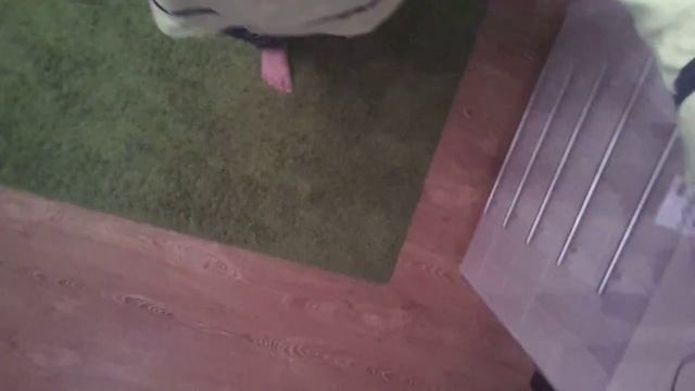 Мой зеленый ковер. ?