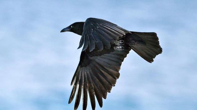 Addfbde87949dc7fdeae351b3ca814e5