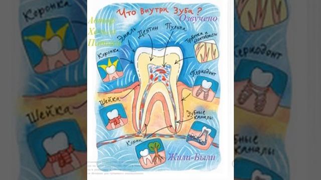 Хельга Патаки   Зубная Книжка   2