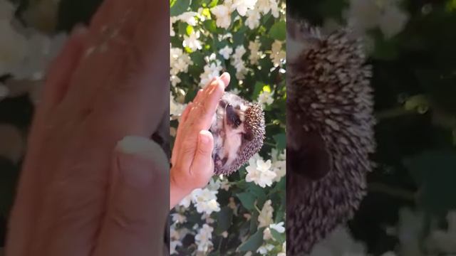 8c4932fdeb269c7257934a58baad4c24